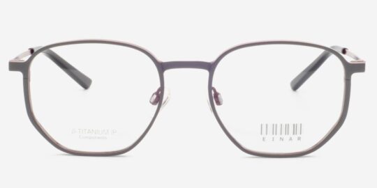 EINAR'S I2I G8100-51